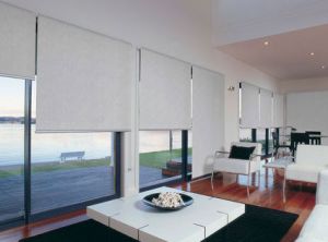 blackout roller blinds