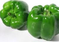 Fresh Bell Pepper