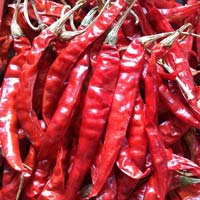 Dried Red Chilli