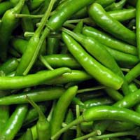 Fresh Green Chilli