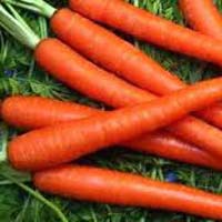 Fresh Carrot