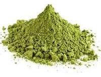 DRUMSTICK LEAVES POWDER