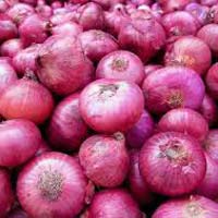 Red Onion