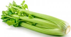 Fresh Celery