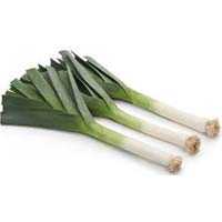 Fresh Leeks