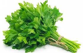 Fresh parsley