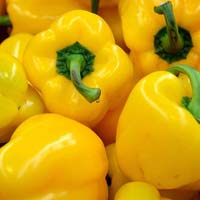 Fresh Yellow Capsicum