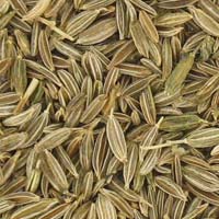 Cumin Seeds