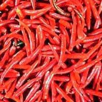 Dried Red Chilli