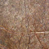 Rain Forest Brown Marble 03