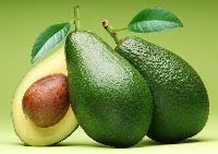 Avocado - Butter Fruits
