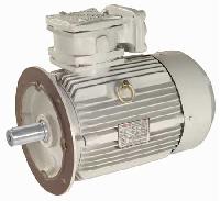 Increased Safety Motor