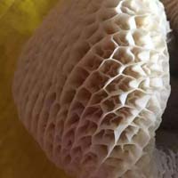 Frozen Buffalo Honeycomb