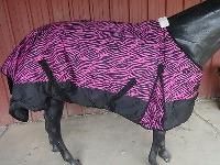 horse blanket