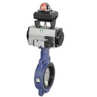 Pneumatic Butterfly Valve