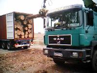 PW-007 Pine Wood Logs