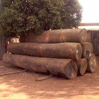 SW-001 Indian Round Sal Wood Logs