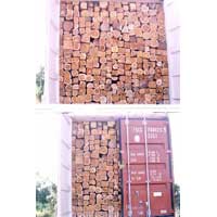 TW-006 Ghana Teak Wood Log
