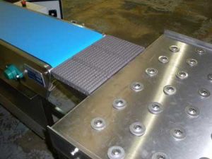 Fruit & Vegetable Conveyors