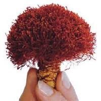 Indian Saffron