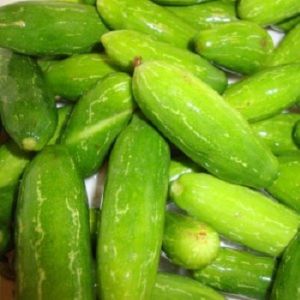 Fresh Gherkins