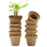 Coir Pot