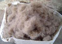 carded wool