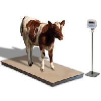 Animal Weighing Scales