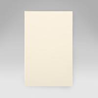 Cream Wove Paper