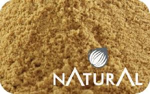 Dehydrated Ginger Powder