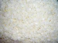 Dehydrated White Onion Diced