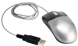 Computer Mouse