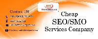 seo consultation service