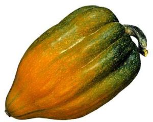 Fruit Squash