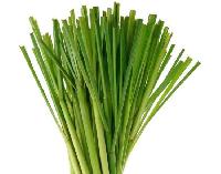 Lemongrass