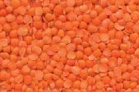 Red Split Lentils