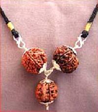 PP06 RUDRAKSHA FOR SUCCESS