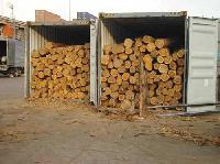 Timber Logs (003)