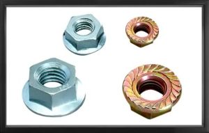 Flange Nuts