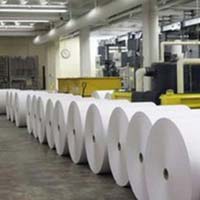 White Paper Rolls