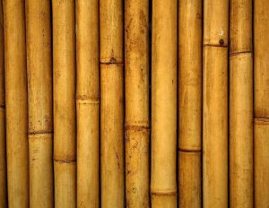 Bamboo Poles