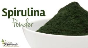 Spirulina Powder