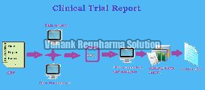 Clinical Trial Report Preparation Services