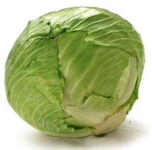 Fresh Cabbage