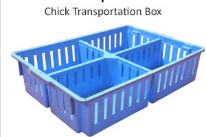 Chick Transportation Box