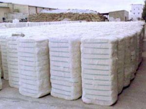 Fp Cotton Bales