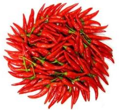 Fresh Red Chilly