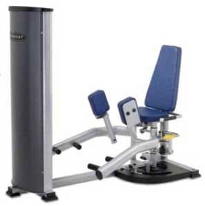 Leg Curl Machine (XL-400)