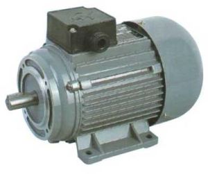 Induction Electric Motors