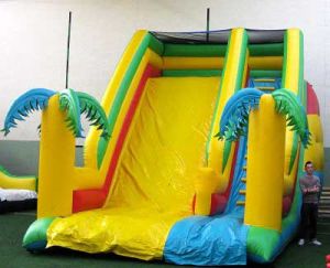 Inflatable Bouncer (06)